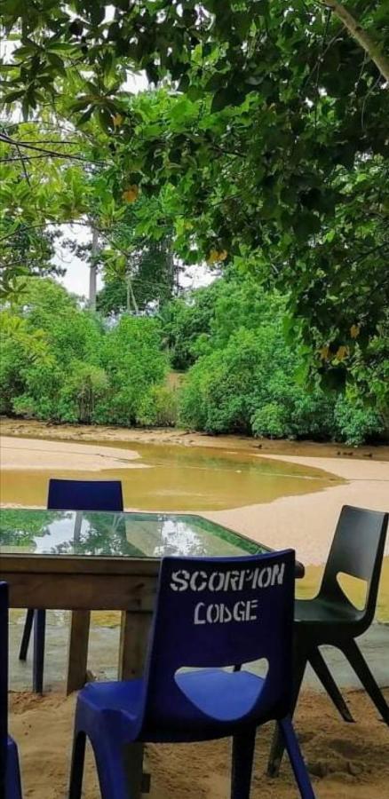 Scorpion Hill Lodge Busua Eksteriør billede