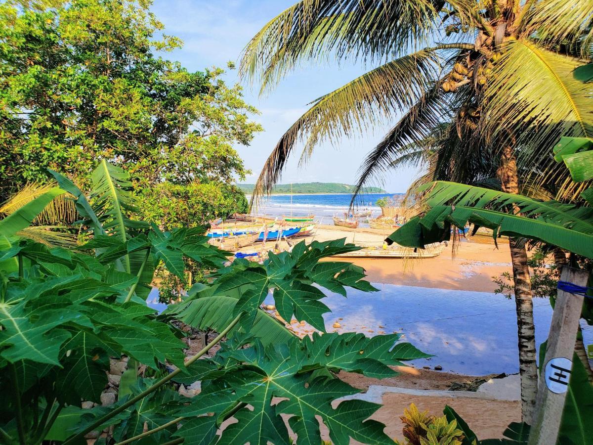 Scorpion Hill Lodge Busua Eksteriør billede